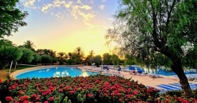 city break février Marrakech soleil Palmeraie