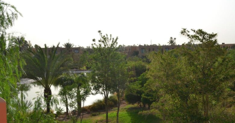 séjour tout compris février Maroc Palmeraie