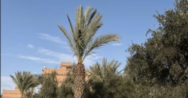 offre printemps hôtel Marrakech