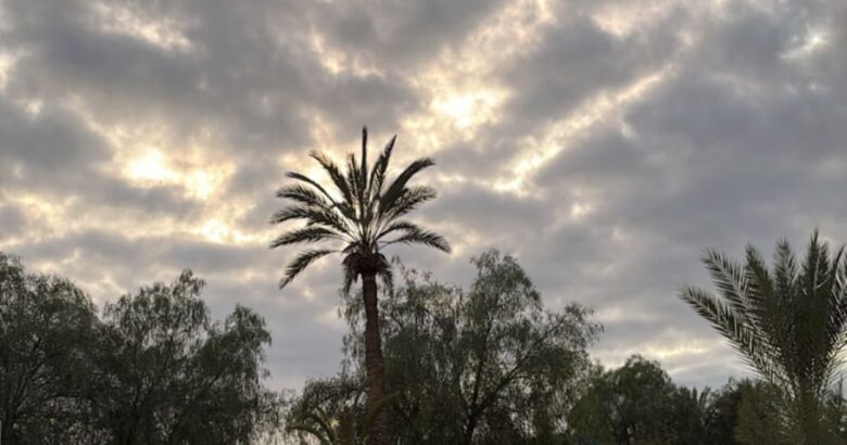 séjour calme Marrakech mars