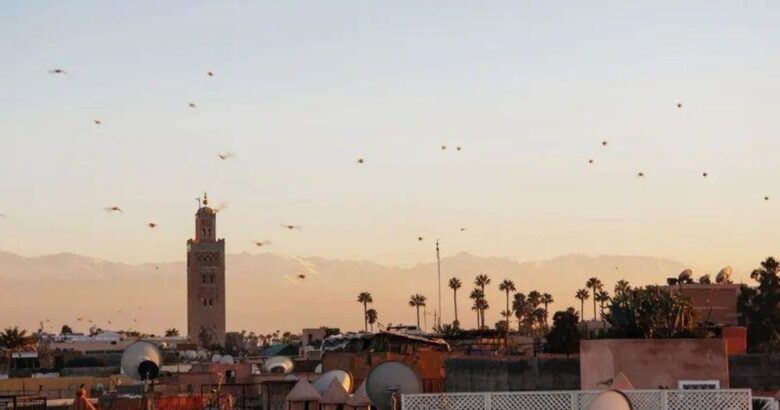 médina Marrakech en été